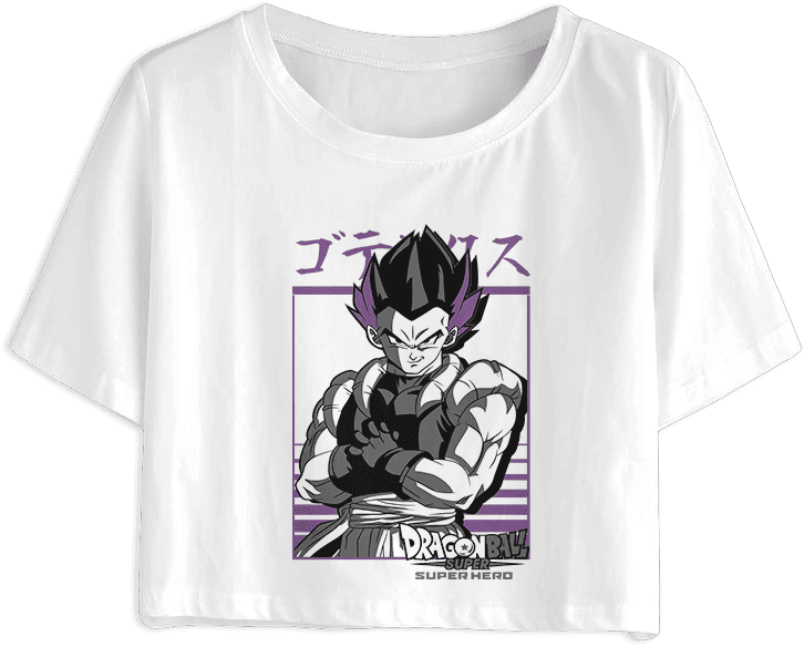Dragon Ball 29