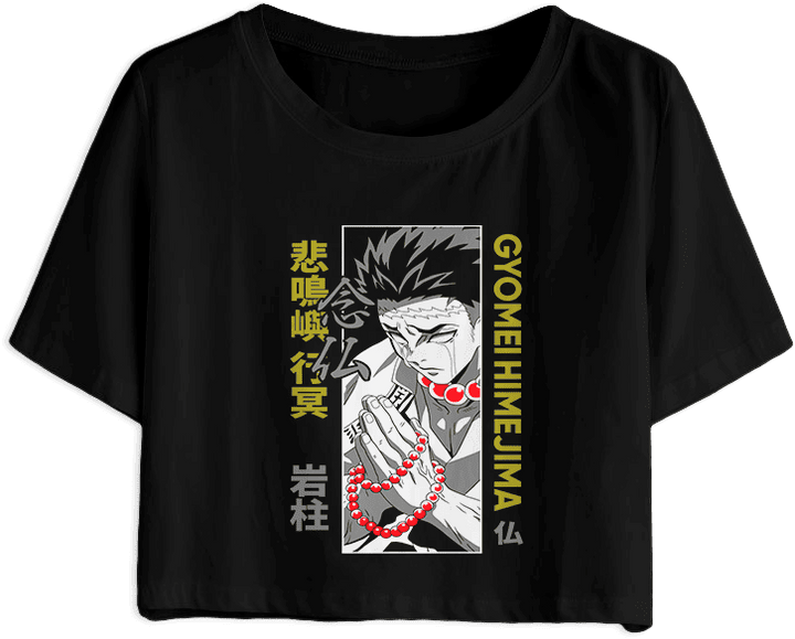 Demon Slayer/Kimetsu no Yaiba 29