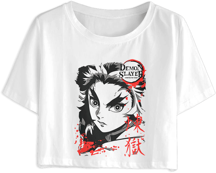 Demon Slayer/Kimetsu no Yaiba 67